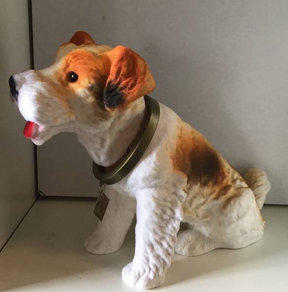 Terrier - stor nikkehund - tricolor