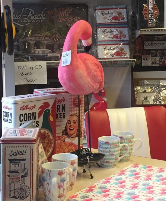 Hovedbilde Stor Flamingo