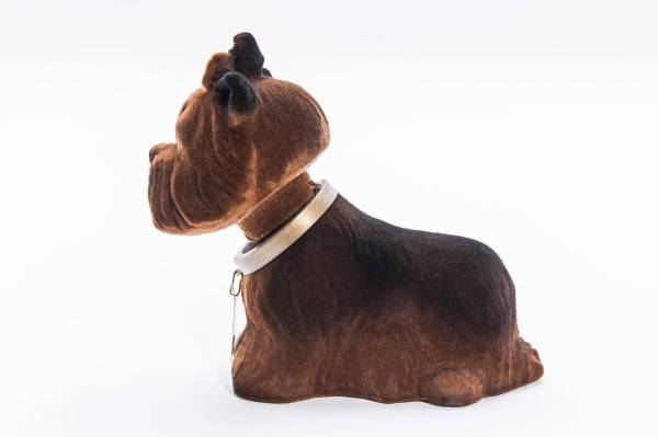 Jorkshire Terrier - liten nikkehund