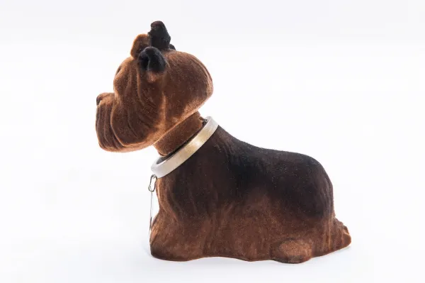 Jorkshire Terrier - liten nikkehund