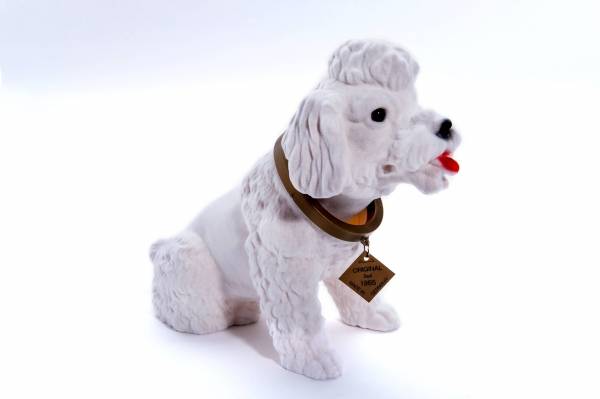 Puddel - stor hvit nikkehund