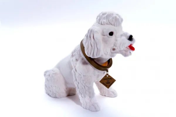 Puddel - stor hvit nikkehund