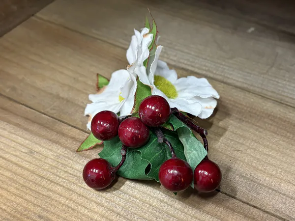 Zina Hårblomst