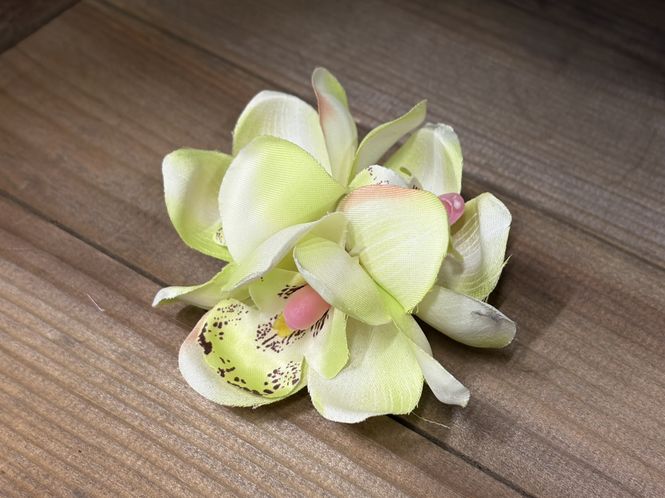 Main Image Blossom Hairclip - Lime