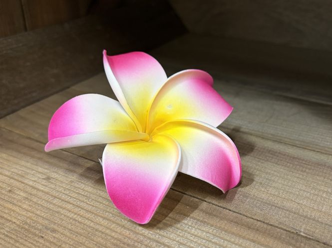 Hovedbilde Fiona Hairclip Pink
