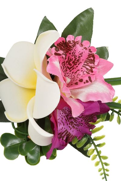 Fucsia Island Breeze Hårblomst