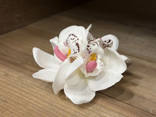 Main Image Blossom Hairclip - Hvit