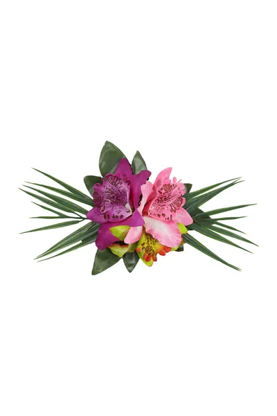 Fucsia Tropical Hårblomst