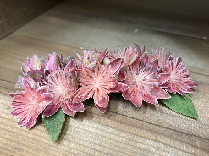 Hovedbilde Miriam Hårblomst